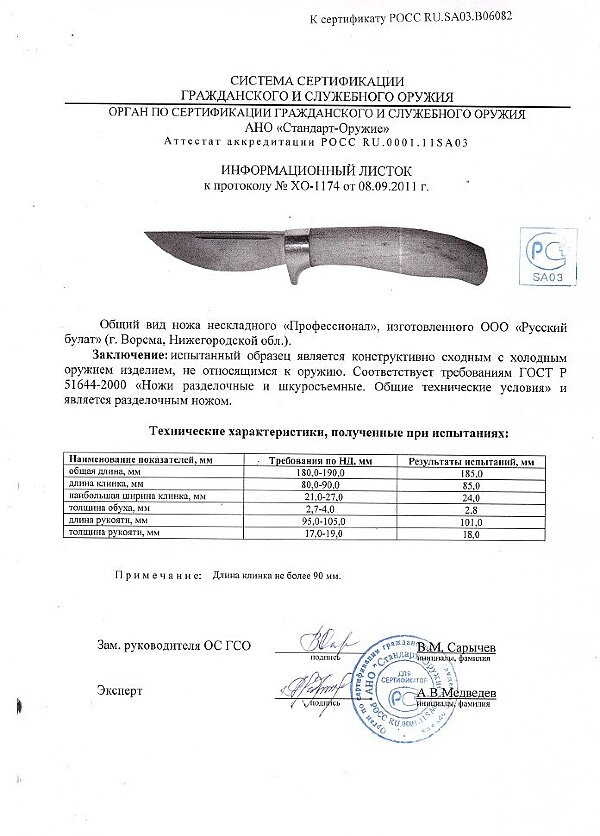 Профессионал