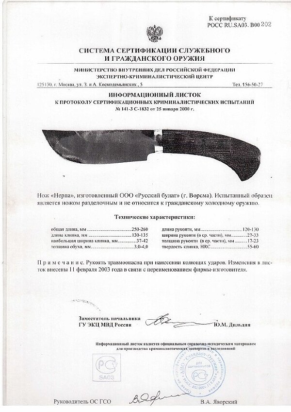 Нерпа серт