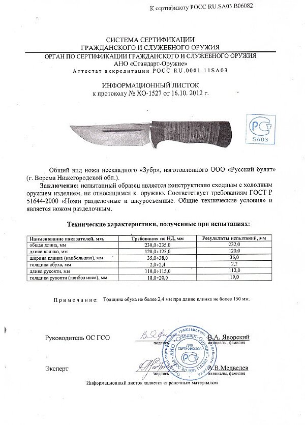 Зубр
