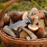 "Шторм", дамасская сталь, береста